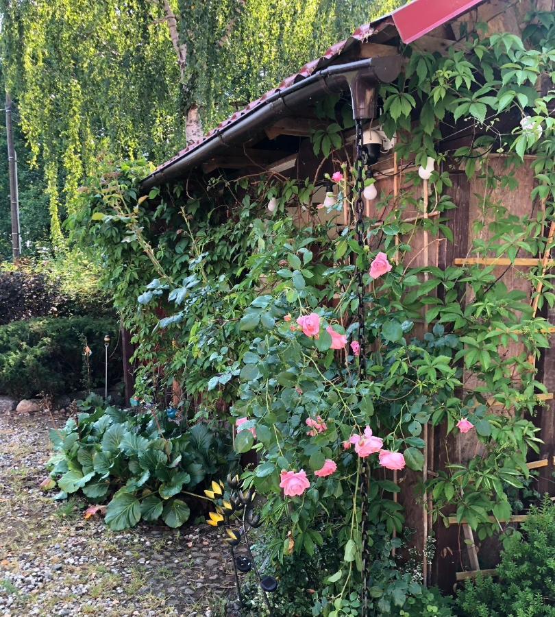 Krakowskie Mazury Gradzkie  Exterior foto