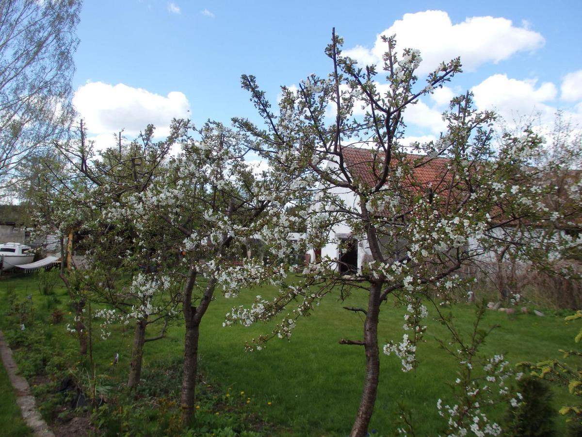 Krakowskie Mazury Gradzkie  Exterior foto