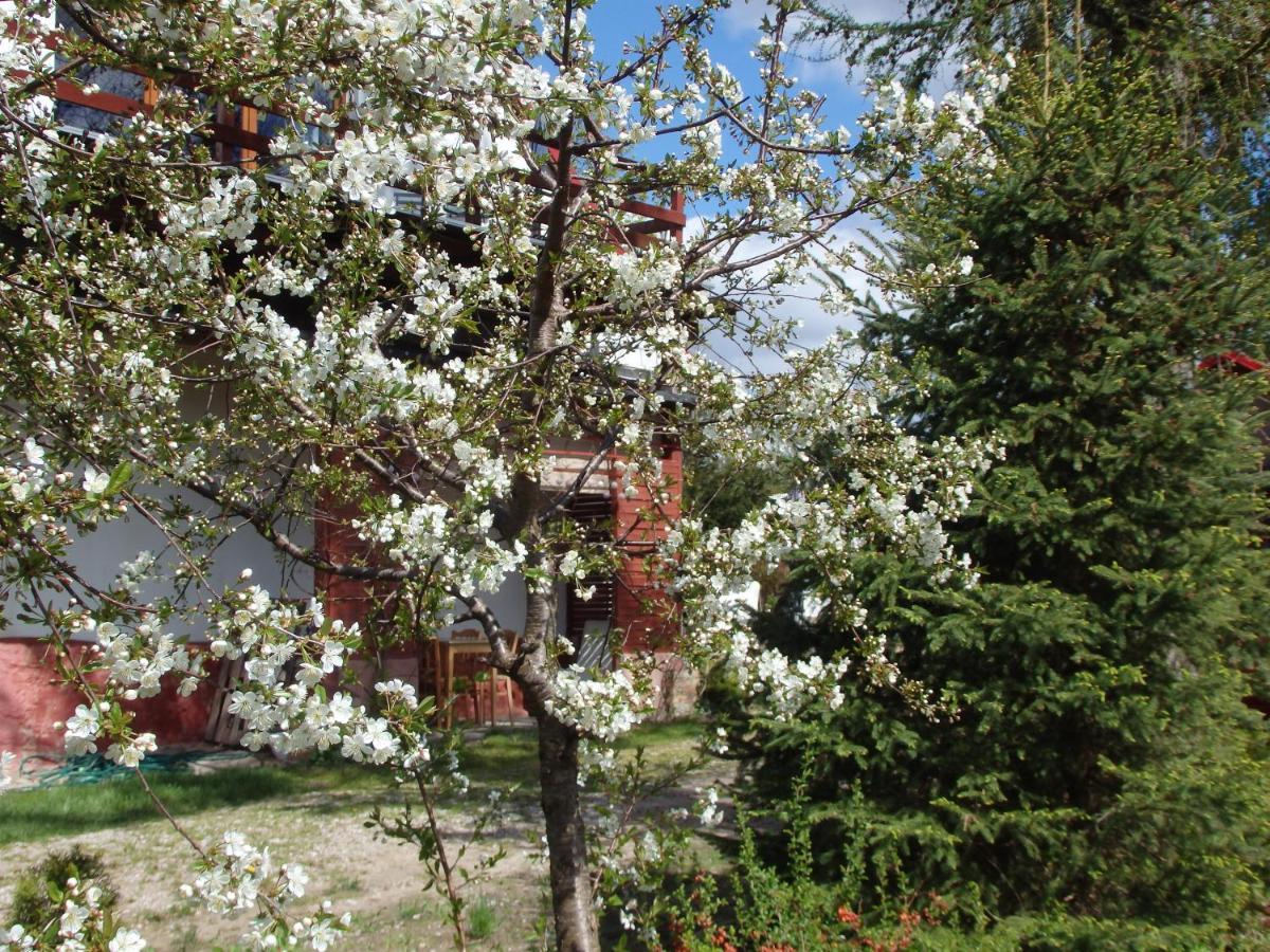 Krakowskie Mazury Gradzkie  Exterior foto